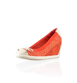 Modern womens fashion shoes isolated on white background