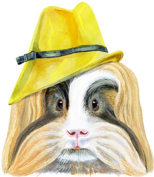 Cute cavy in yellow hat. Pig for T-shirt graphics. Watercolor Sheltie Guinea Pig illustration