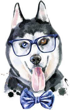Cute Dog with bow-tie and glasses. Dog T-shirt graphics. watercolor husky