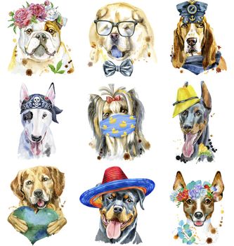 Cute set of watercolor portraits of dogs. For t-shirt graphics. Watercolor dogs illustration