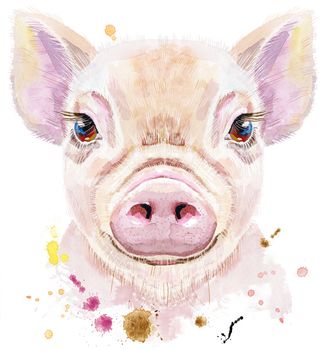 Cute piggy. Pig for T-shirt graphics. Watercolor pink mini pig illustration