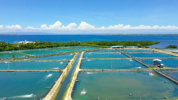 Aerial view of the prawn farm with aerator pump. Bohol, Philippines. Ponds for shrimp farming.