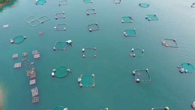 Aerial view of fish ponds for bangus, milkfish. Fish farm, top view. large scale traditional floating fish farms.