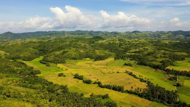 Paddy fields in the Philippines. Mountain landscape with green hills and farmland. Summer and travel vacation concept.