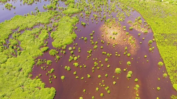 Aerial view of panoramic mangrove forest. Mangrove landscape. Great Santa Cruz island. Zamboanga, Mindanao, Philippines.