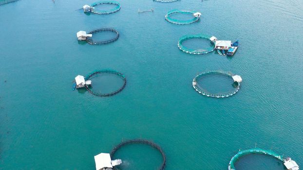 Fish cages and fish breeding nets at a fish farm. Aerial view of fish ponds for bangus, milkfish. Philippines, Luzon.