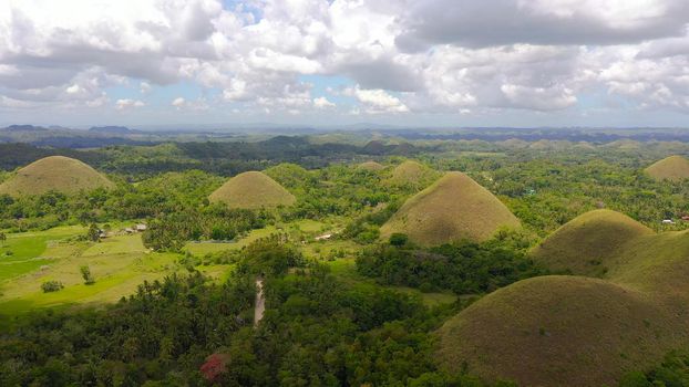 Aerial view of Chocolate hills in Bohol island,Philippines. Hills covered with grass and vegetation.