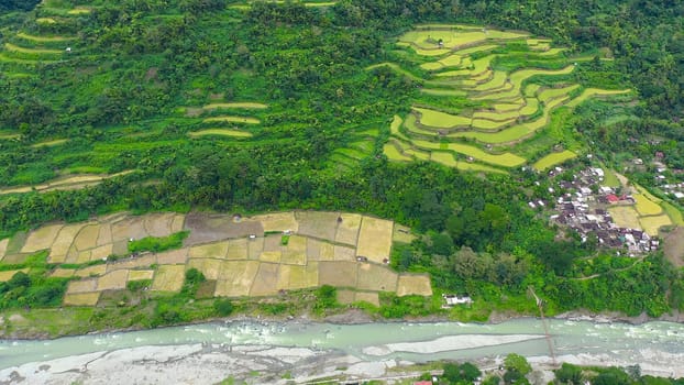 Village and river in a mountain gorge, top view. Rice cultivation in the North of the Philippines, aerial view. Tropical landscape, river and rice fields. Landscape, villages in the highlands.