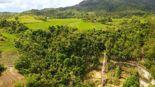 Tropical waterfall and rice terraces on the island of Bohol,Philippines.