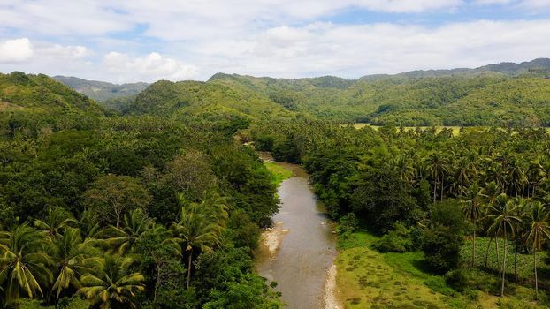 Mountain river on a tropical island, top view. Mountains and hills are covered with evergreen forest. Beautiful landscape in the Philippines. A river in the mountains on Leyte Island,