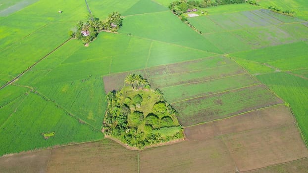Aerial view of Landscape with farmland and rice fields. Philippines, Mindanao. Rice fields in Asia.