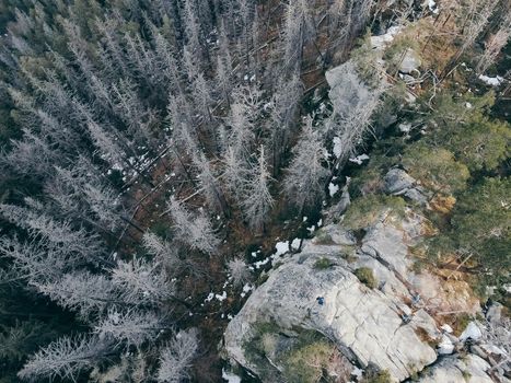 A tree covered in snow. High quality photo