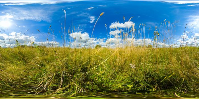 Meadows with green grass and flowers on a Sunny summer day. Field in the countryside. Summer landscape. VR 360.