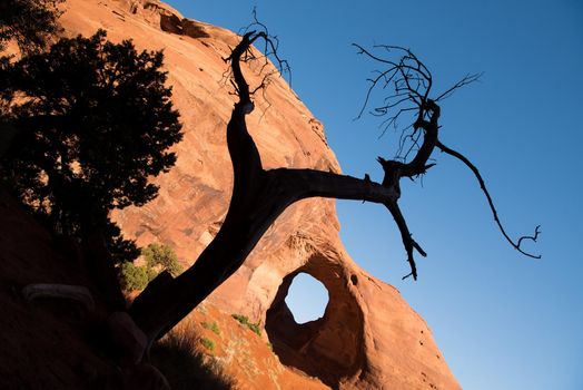 Giant sized hole in rock face at Ear of the Wind arch