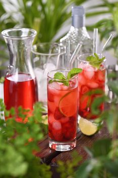 Fresh strawberries combined with fresh juice and tequila. This mojito cocktail is full of vibrant lime, berry and mint aromas. Enjoy your drink