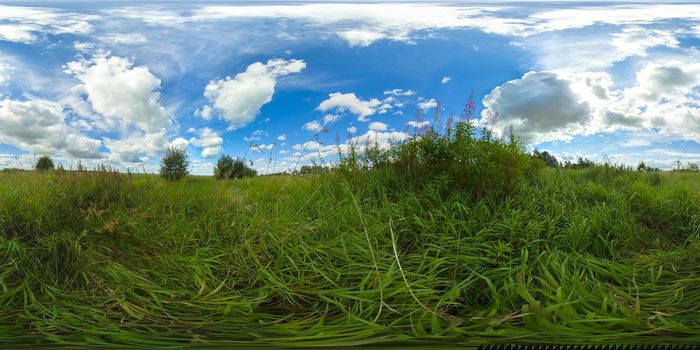 Summer landscape: Field with green grass and wildflowers on a Sunny summer day. VR 360.