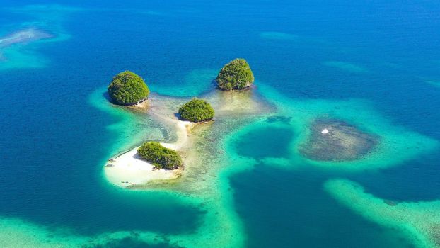 Top view of small tropical island in the blue sea with a coral reef and the beach. Britania Islands, Surigao del Sur, Philippines.