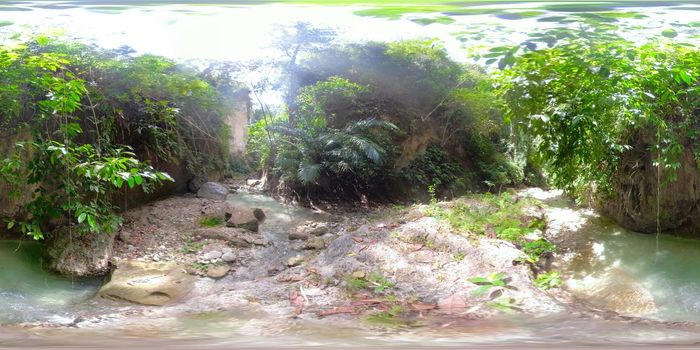 River in the rainforest through the green jungle 360VR. River in the green forest.