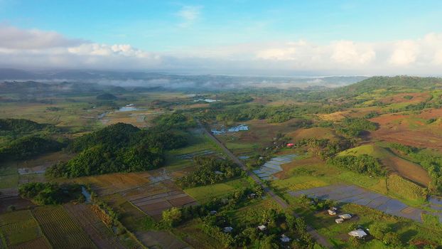 Aerial view of rice plantation,terrace, agricultural land of farmers. Tropical landscape with farmlands on island Luzon, Philippines. Vibrant green tropical valley with rice field and farmland. Morning fog.
