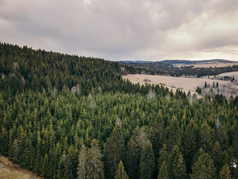 A tree with a mountain in the background. High quality photo