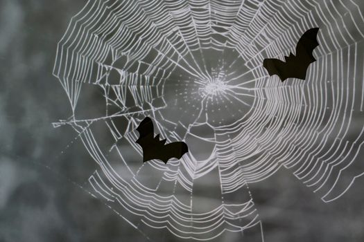 Black bats on background of white cobwebs at Halloween night. Halloween concept.