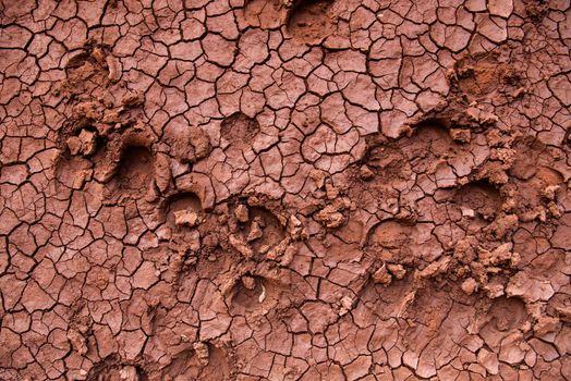 Red clay ground texture with horse hoof prints natural earth cracks dry ground