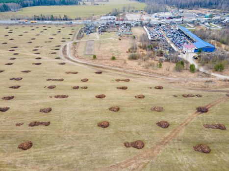 Manure heaps lie in even rows on a farm field, aerial view. Application of organic fertilizers in spring and autumn. The concept of working in agriculture for doing business and making a profit.
