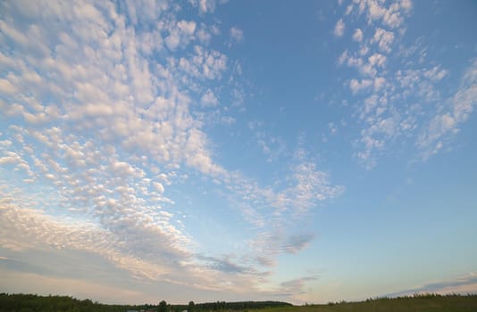 Beautiful blue sky at sunset with pink and white clouds. Sky panorama for screensavers, postcards, calendar, presentations. Low point at wide angle. Warm spring or summer evening.