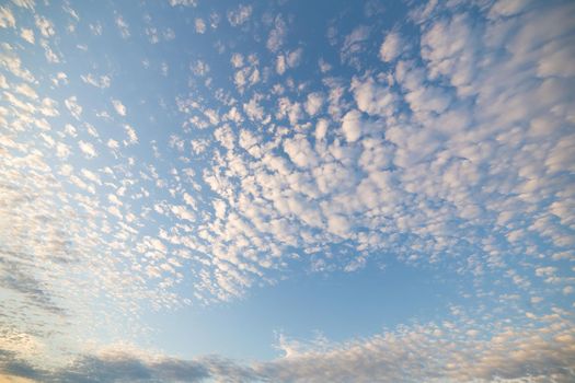 Beautiful evening sky with white and pink clouds at sunset. Sky panorama for screensavers, postcards, calendar, presentations. Low point at wide angle. Warm spring or summer evening.