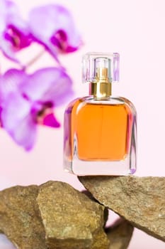 A perfume bottle stands on a stone against a background of beautiful orchids. Stylish appearance, layout, personality. Banner, a place for the text. The concept of cosmetics for care.