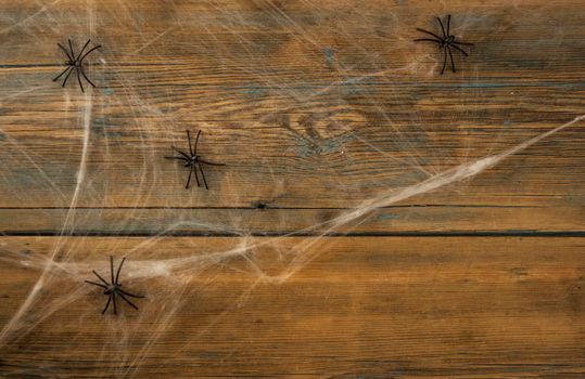 Wooden background covered with spider webs with black spiders and copy space, halloween holiday concept