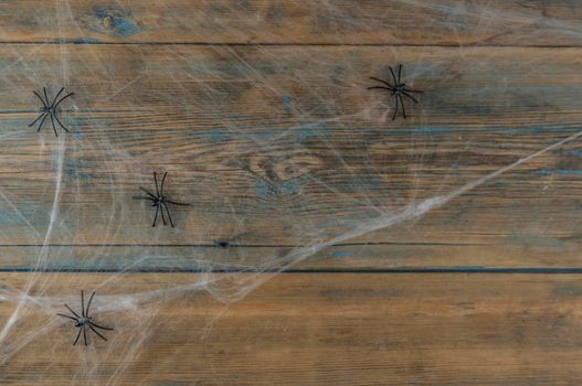 Wooden background covered with spider webs with black spiders and copy space, halloween holiday concept