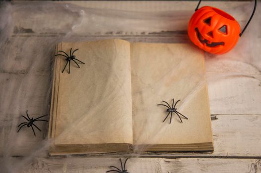 open old book and spiderweb over wood wall. Close up view of cute Halloween decorations.