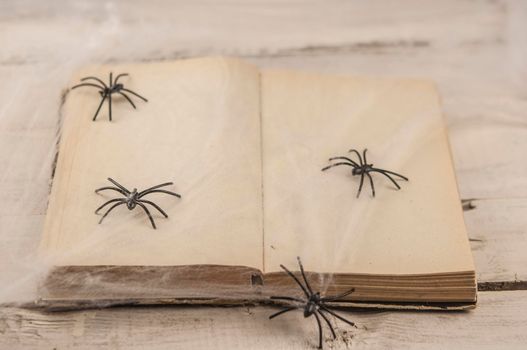 open old book and spiderweb over wood wall. Close up view of cute Halloween decorations.
