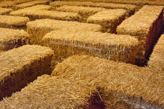 Maze built with golden straw stack tightened with straps. Texture background of yellow straw bale