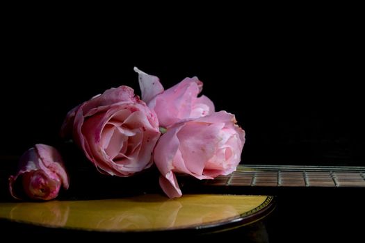 a bouquet of pink roses on the guitar strings on a black background