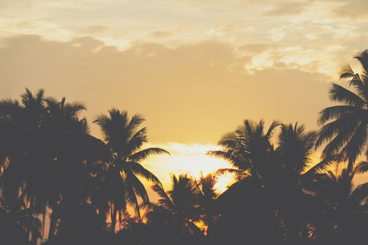 Tropical palm coconut trees on sunset sky flare and bokeh nature colorful copy space summer concept background.