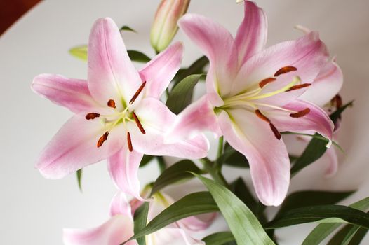 Photo of a perfect bouquet of beautiful lilies on table, pink lily flowers.