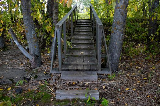 Stairs in the forest. Pedestrian bridge in the park. The concept of adventure and exploration.