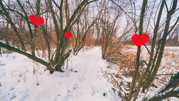 Path of love in forest in winter