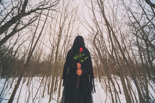 Lonely woman is standing in forest and holding red rose.
