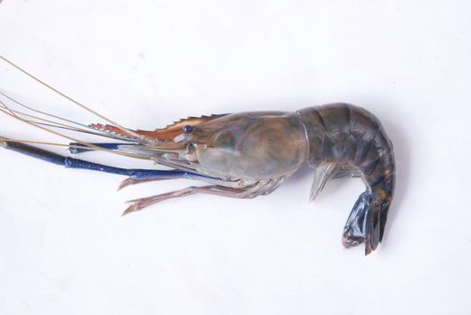 close up of king prawn on plate on table