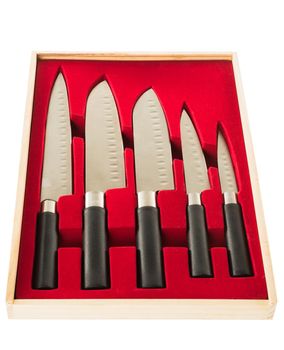 Set of five steel kitchen knives in gift box isolated on white