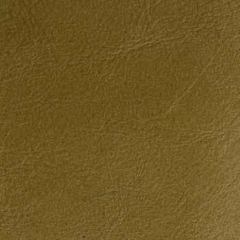 Green Leather texture closeup macro shot for background