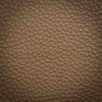 Brown leather macro shot texture for background