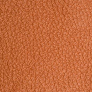 leather macro shot texture for background