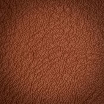 leather macro shot texture for background