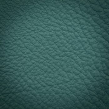 Green leather macro shot texture for background