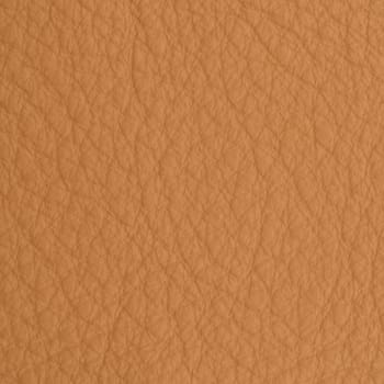 leather macro shot texture for background