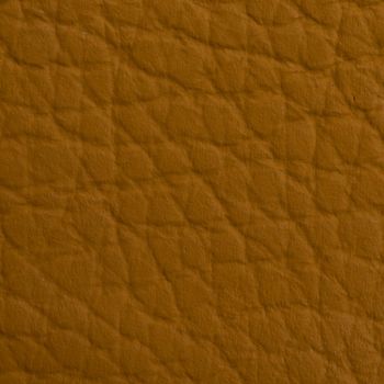 Leather texture closeup macro shot for background